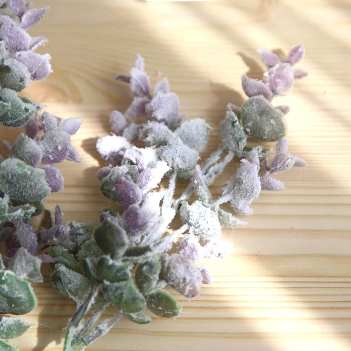Iced Eucalyptus Branch - Nordic Side -