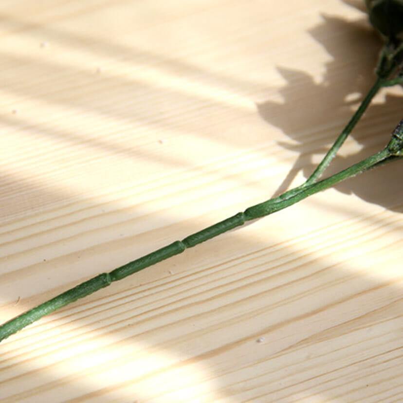 Iced Eucalyptus Branch - Nordic Side -