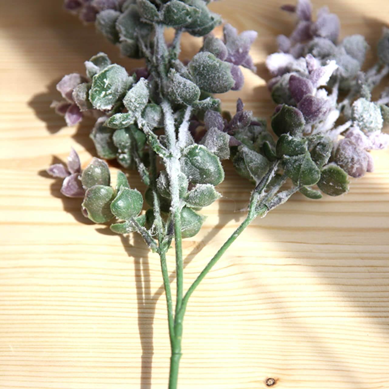 Iced Eucalyptus Branch - Nordic Side -