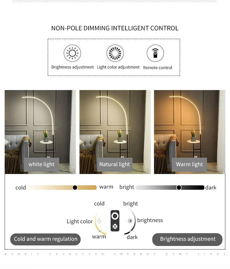 Domnale LED Floor Lamp