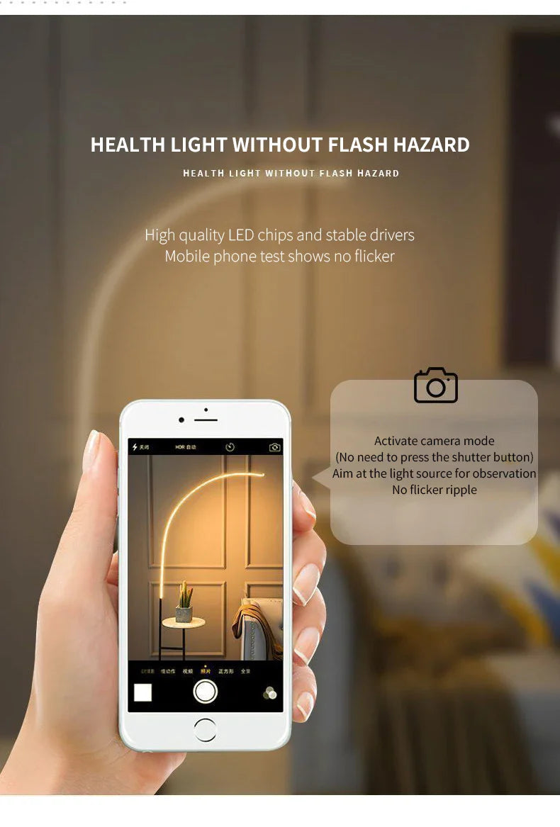 Domnale LED Floor Lamp