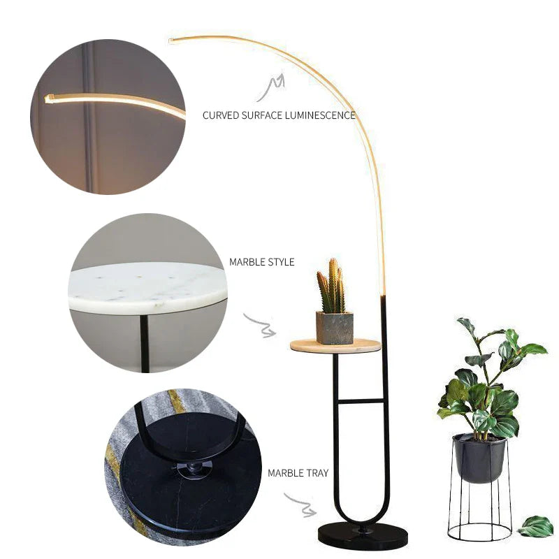 Domnale LED Floor Lamp