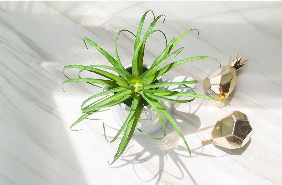 Artificial Air Plant - Nordic Side -