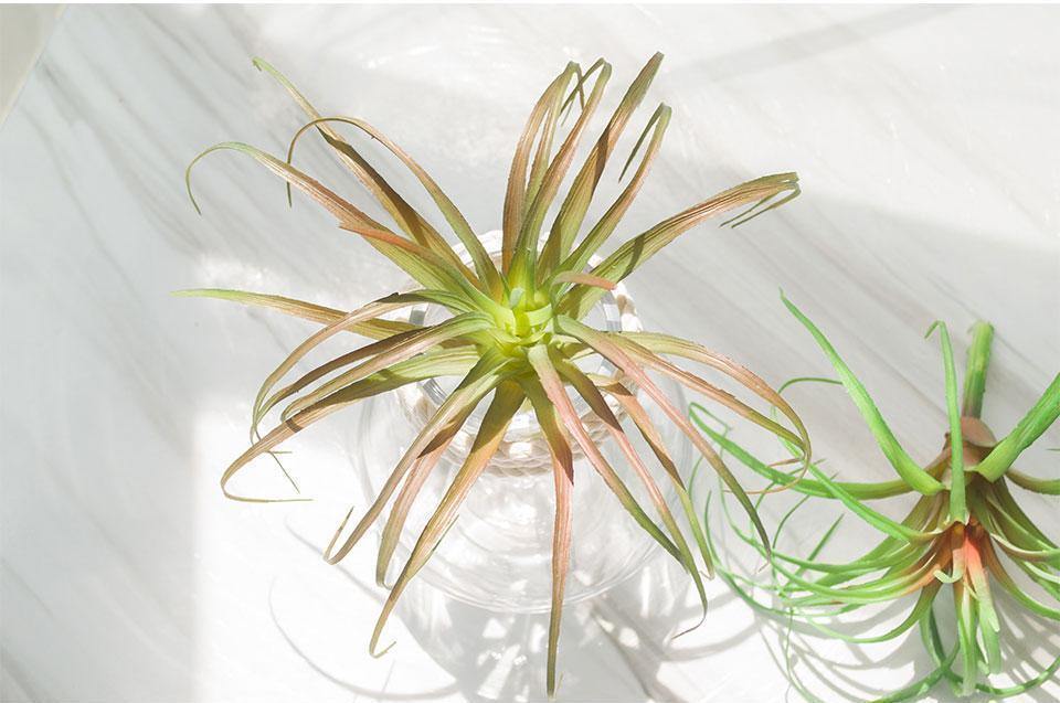 Artificial Air Plant - Nordic Side -