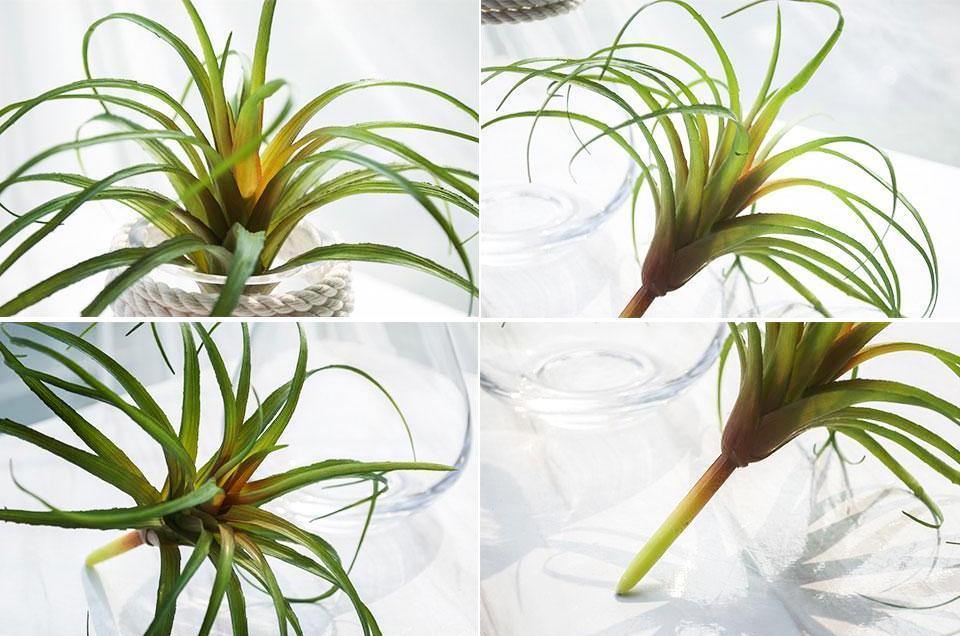 Artificial Air Plant - Nordic Side -