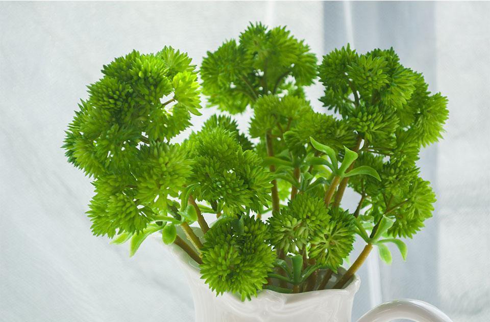 Floral Succulent Branch - Nordic Side -