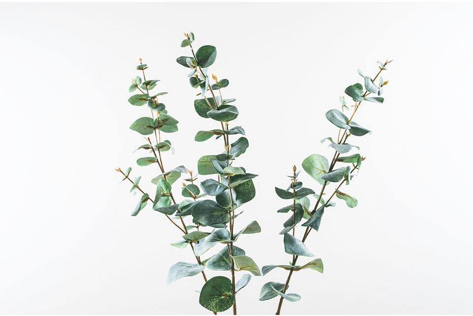Mint Eucalyptus Branch - Nordic Side -