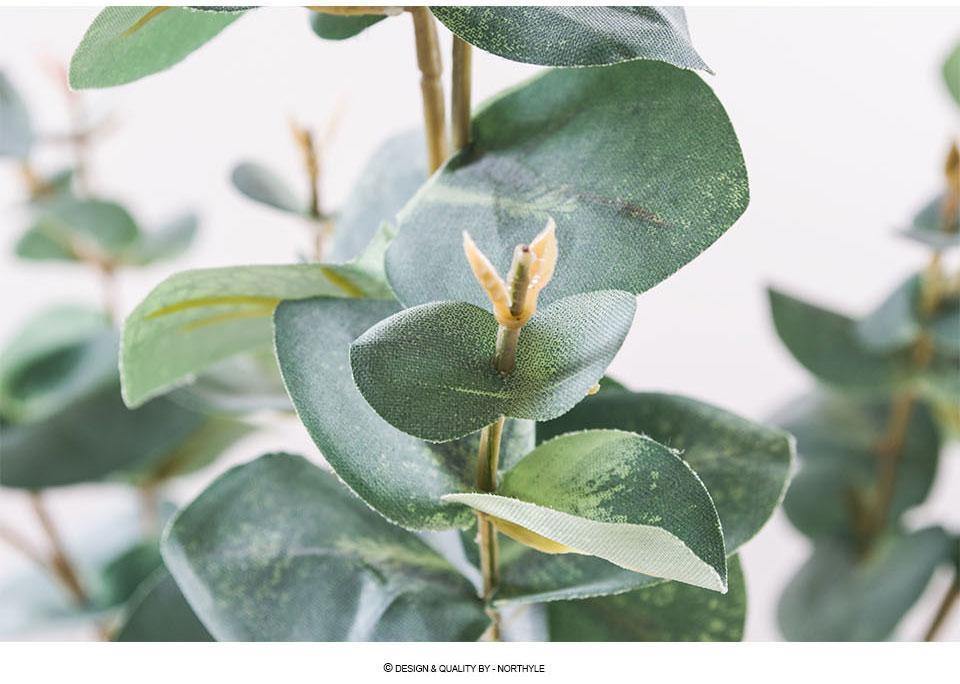 Mint Eucalyptus Branch - Nordic Side -