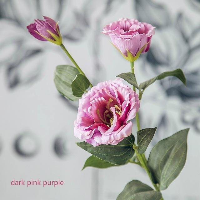 Chinese Bellflower - Nordic Side -