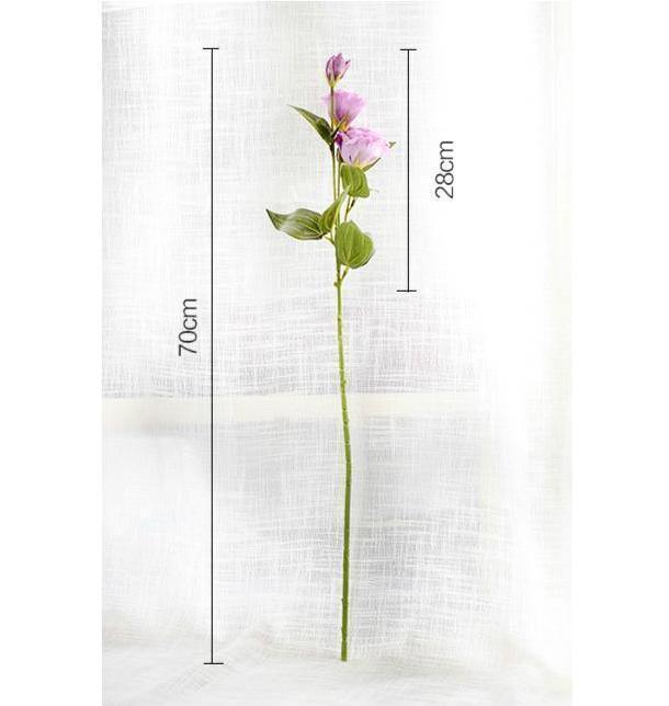 Chinese Bellflower - Nordic Side -