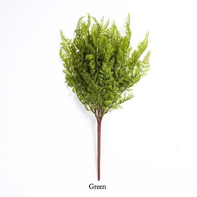 Fern Bush - Nordic Side -