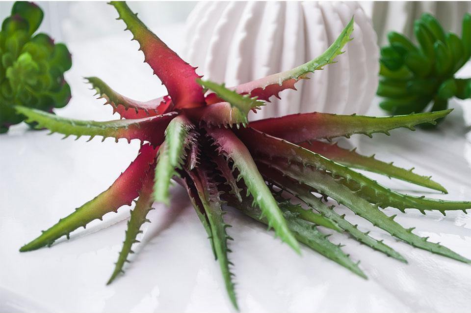 Artificial Aloe - Nordic Side -