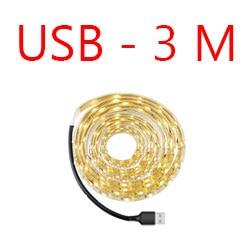 3M 2M 1M LED Smart Stair Light with Sensor
