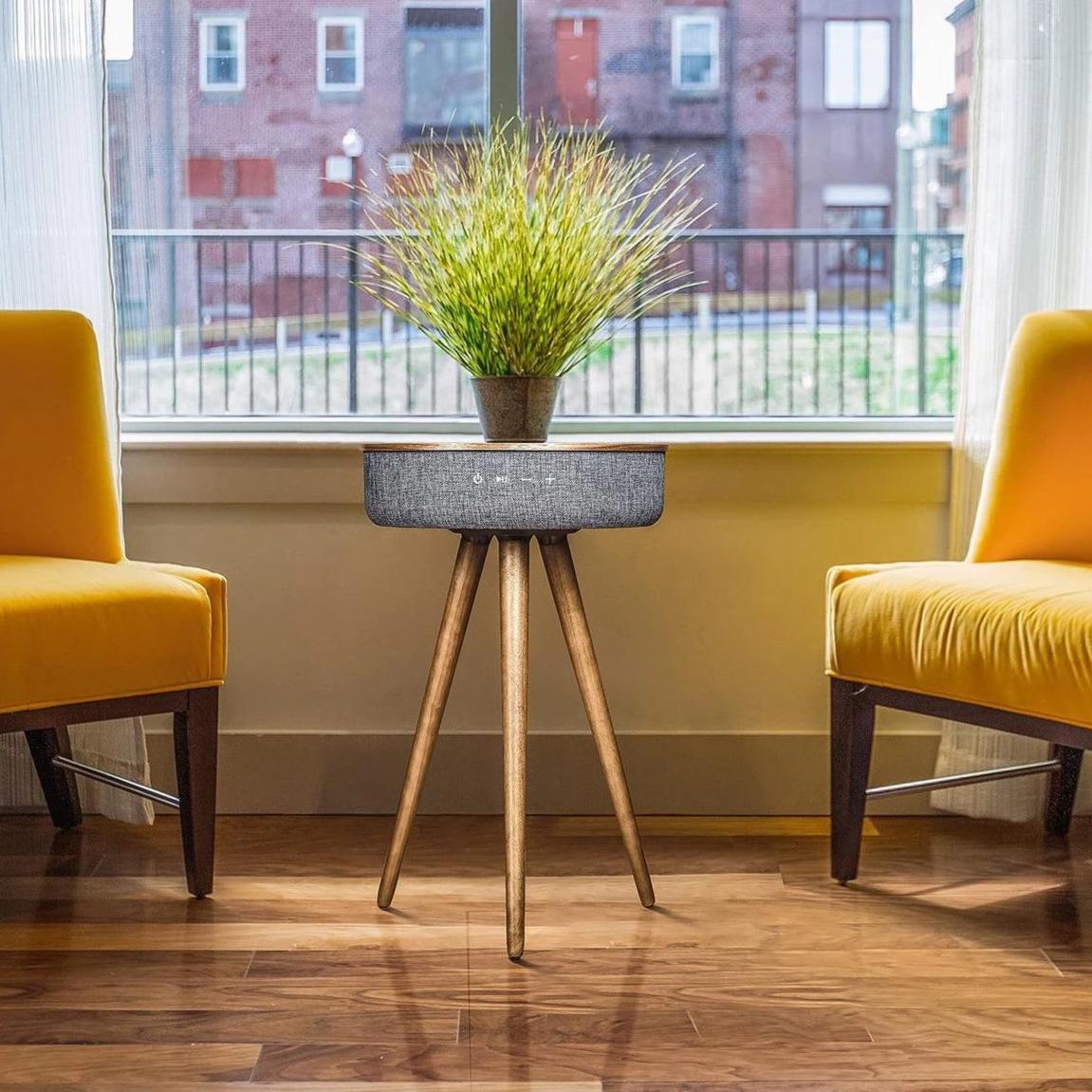 Mersenne Speaker End Table