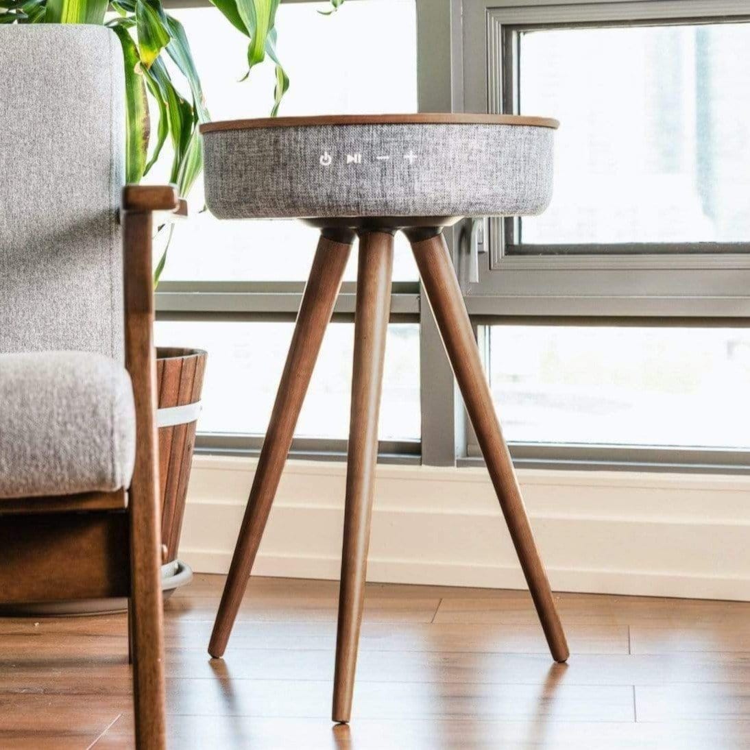 Mersenne Speaker End Table