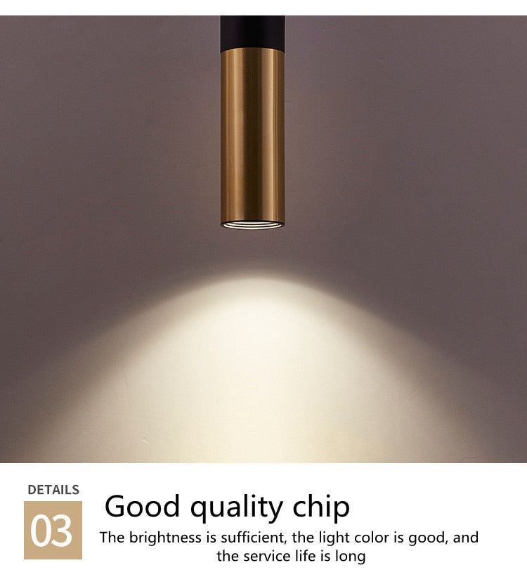 Surface Mounted Spotlights Black Gold Lamps Long Tube