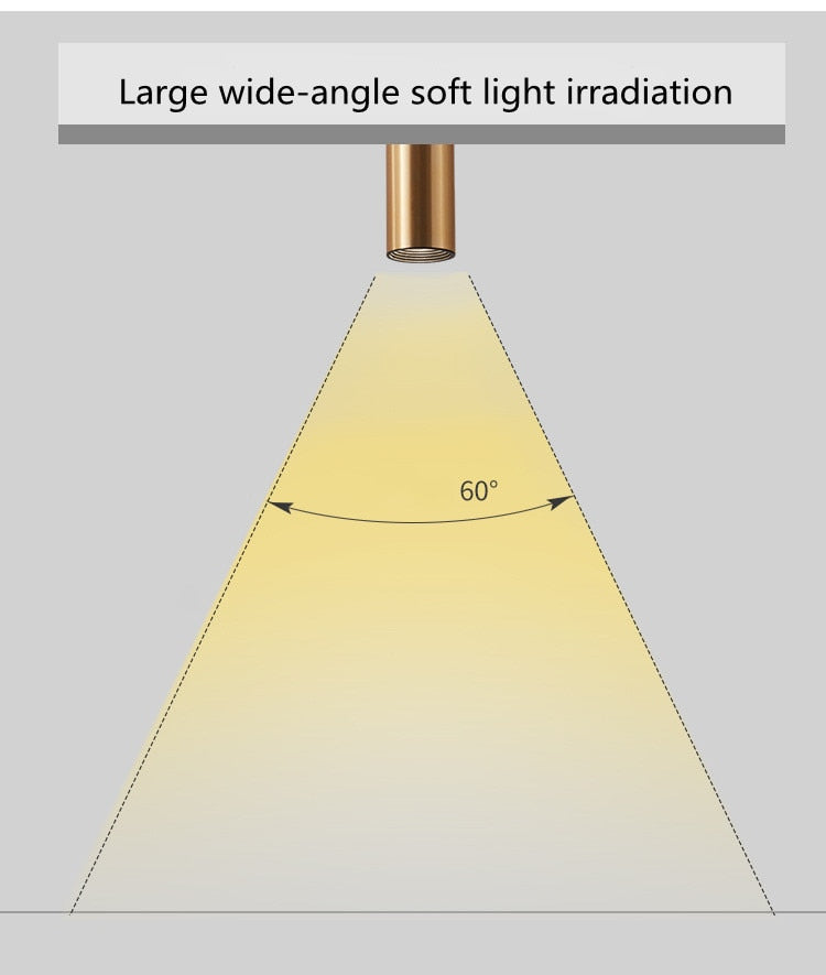 Surface Mounted Spotlights Black Gold Lamps Long Tube