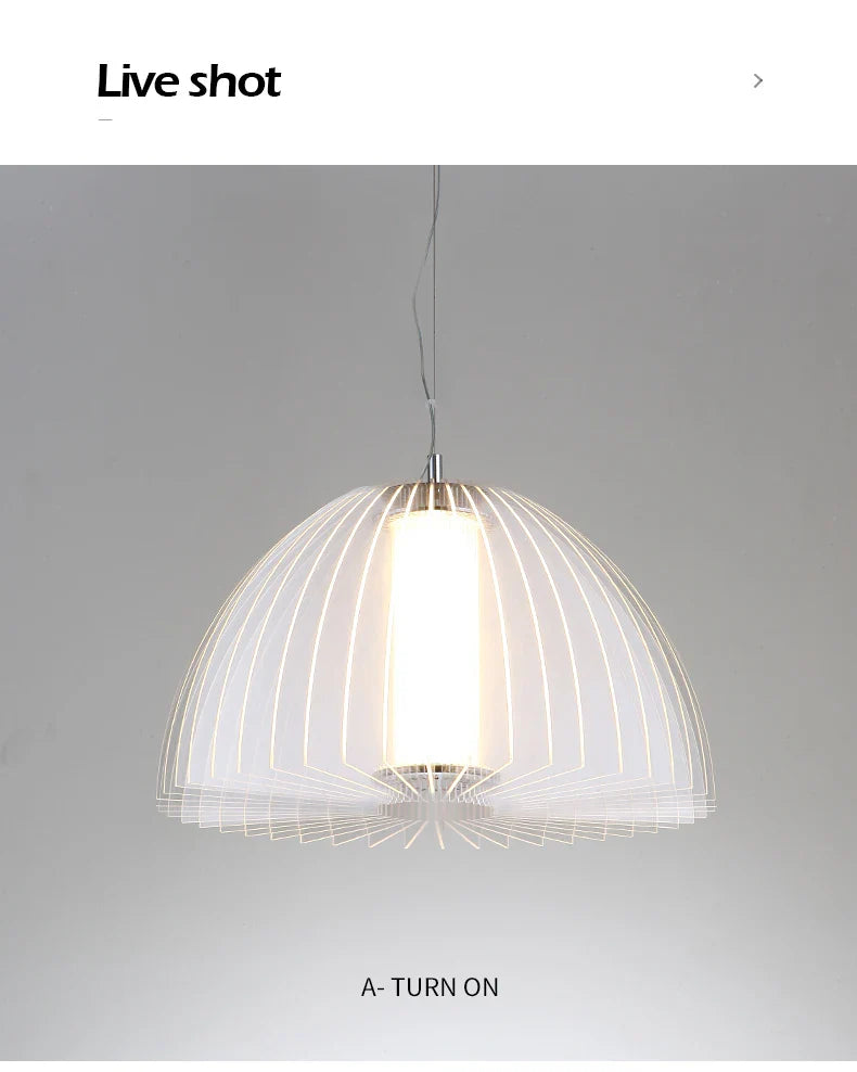 Modern Acrylic Pendant Lamp LED Simple Dandelion Hanging Light