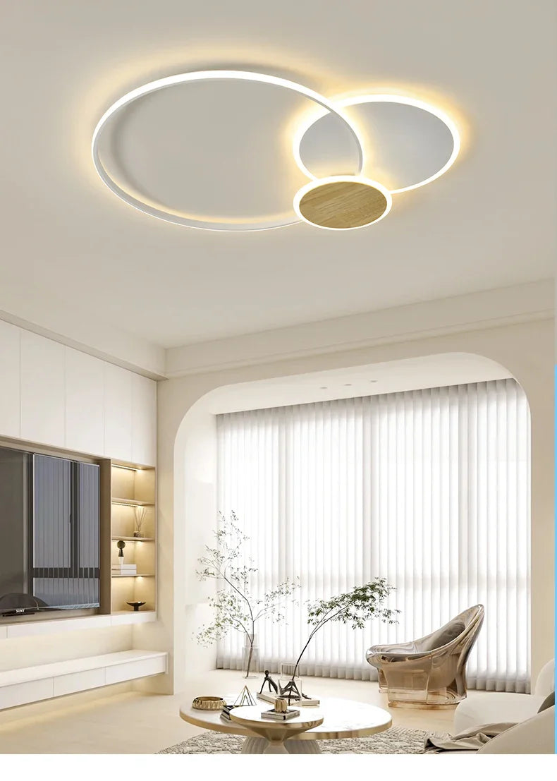 Qiyi Fluifust Modern LED Ceiling Fixture