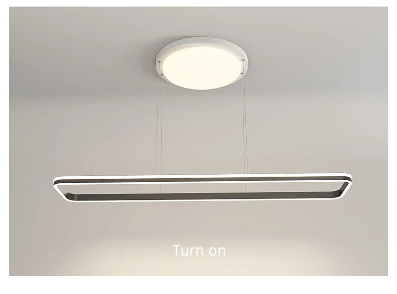 Qiyi Modern Up and Down Pendant Lights