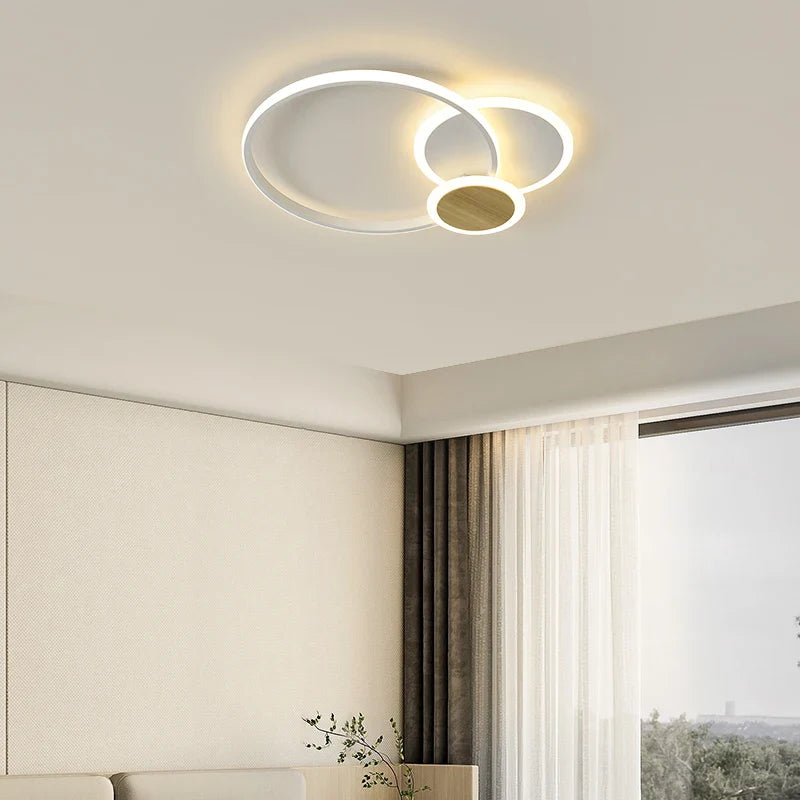 Qiyi Fluifust Modern LED Ceiling Fixture