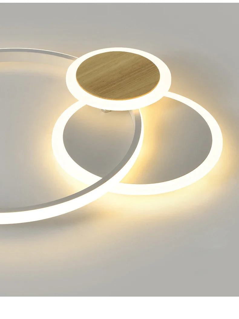 Qiyi Fluifust Modern LED Ceiling Fixture