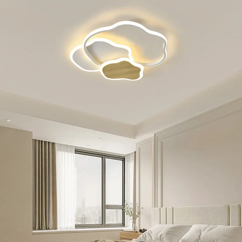 Qiyi Fluifust Modern LED Ceiling Fixture
