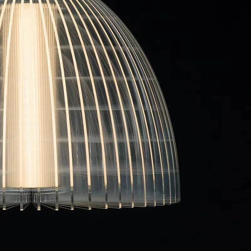 Modern Acrylic Pendant Lamp LED Simple Dandelion Hanging Light