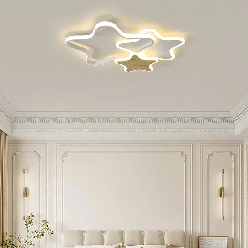 Qiyi Fluifust Modern LED Ceiling Fixture