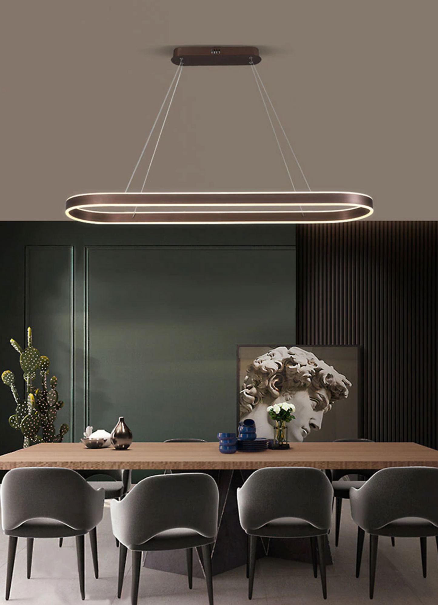 Voong Modern Ring Pendant Lamp