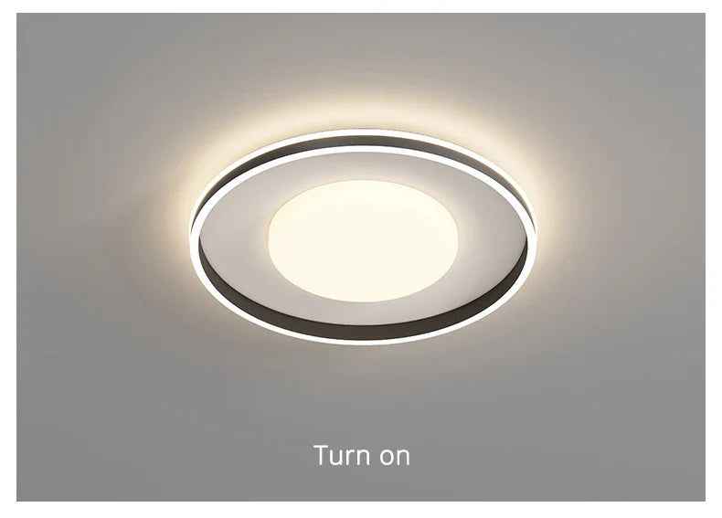 Qiyi Modern Up and Down Pendant Lights