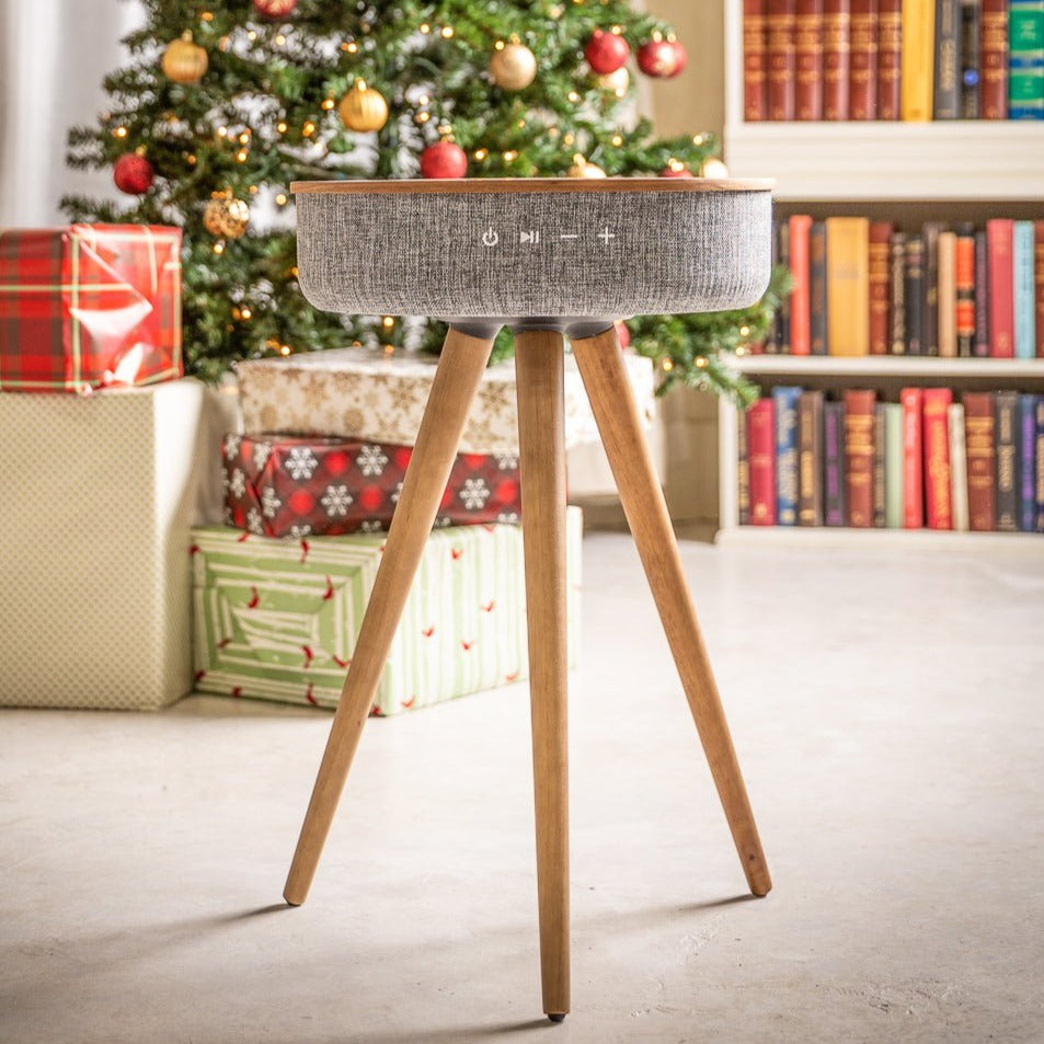 Mersenne Speaker End Table