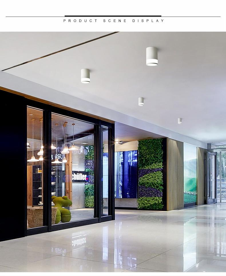 Premium Creative LED Ceiling Light