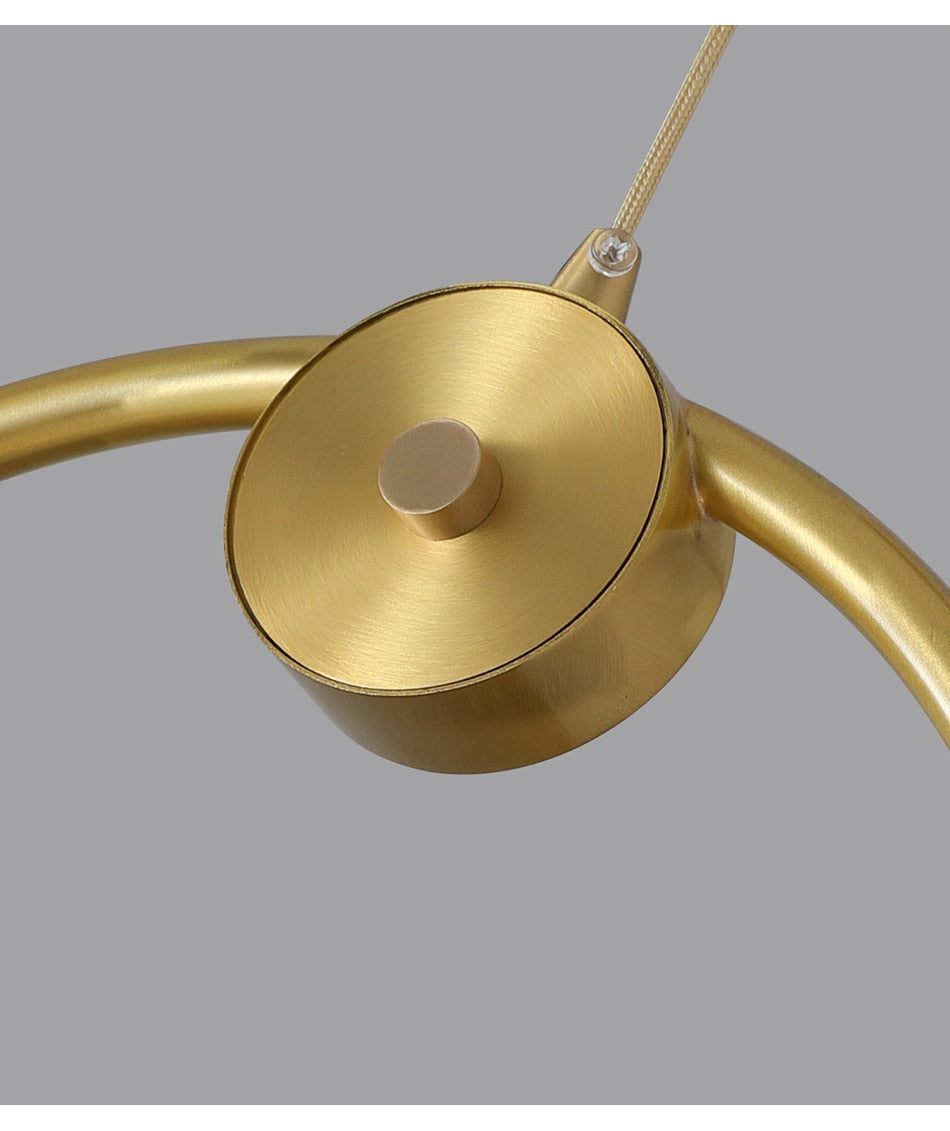 Luxury Modern LED Chandelier Light